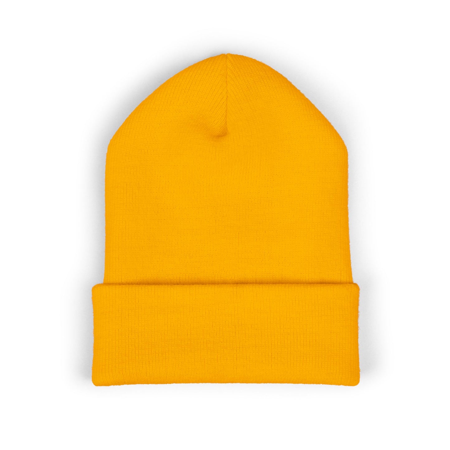 Classic Cuffed Beanie (DISCIPLINE)